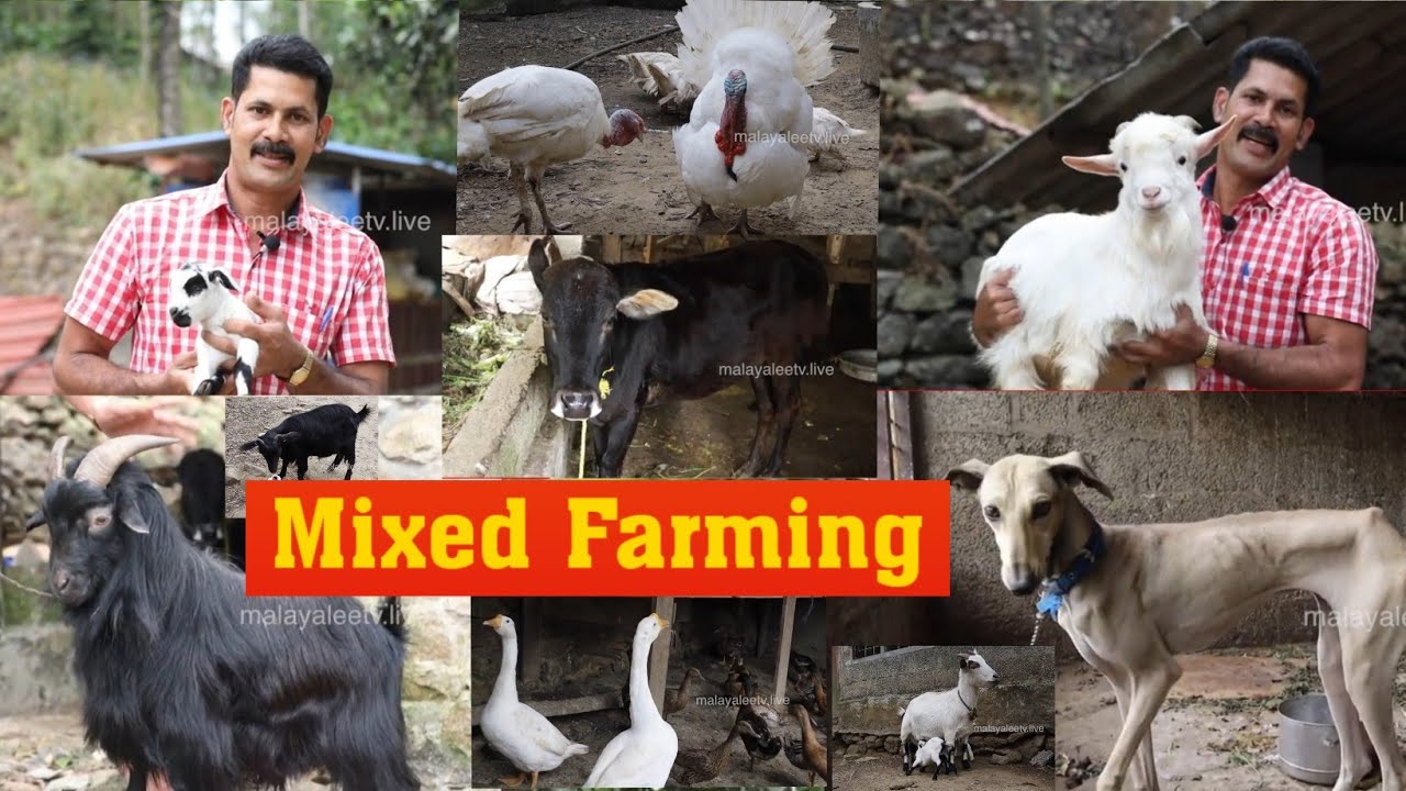 MIXED FARMING KERALA