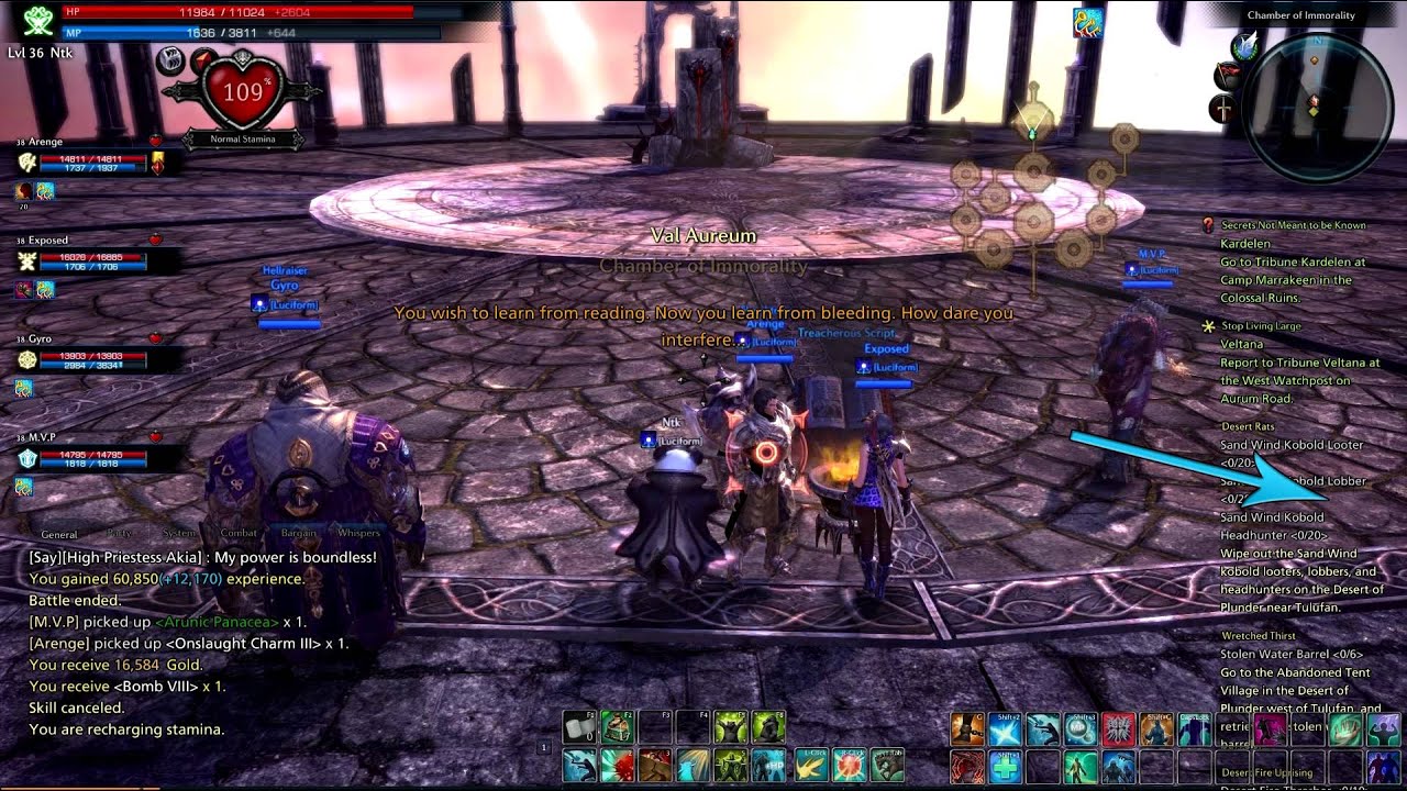 TERA - Closed Beta 4 Recap