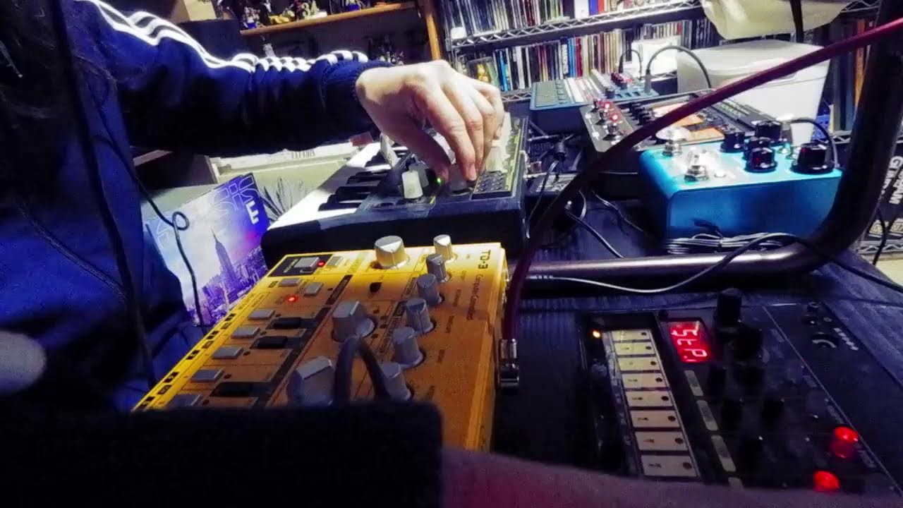 maruma electronica test 20260111