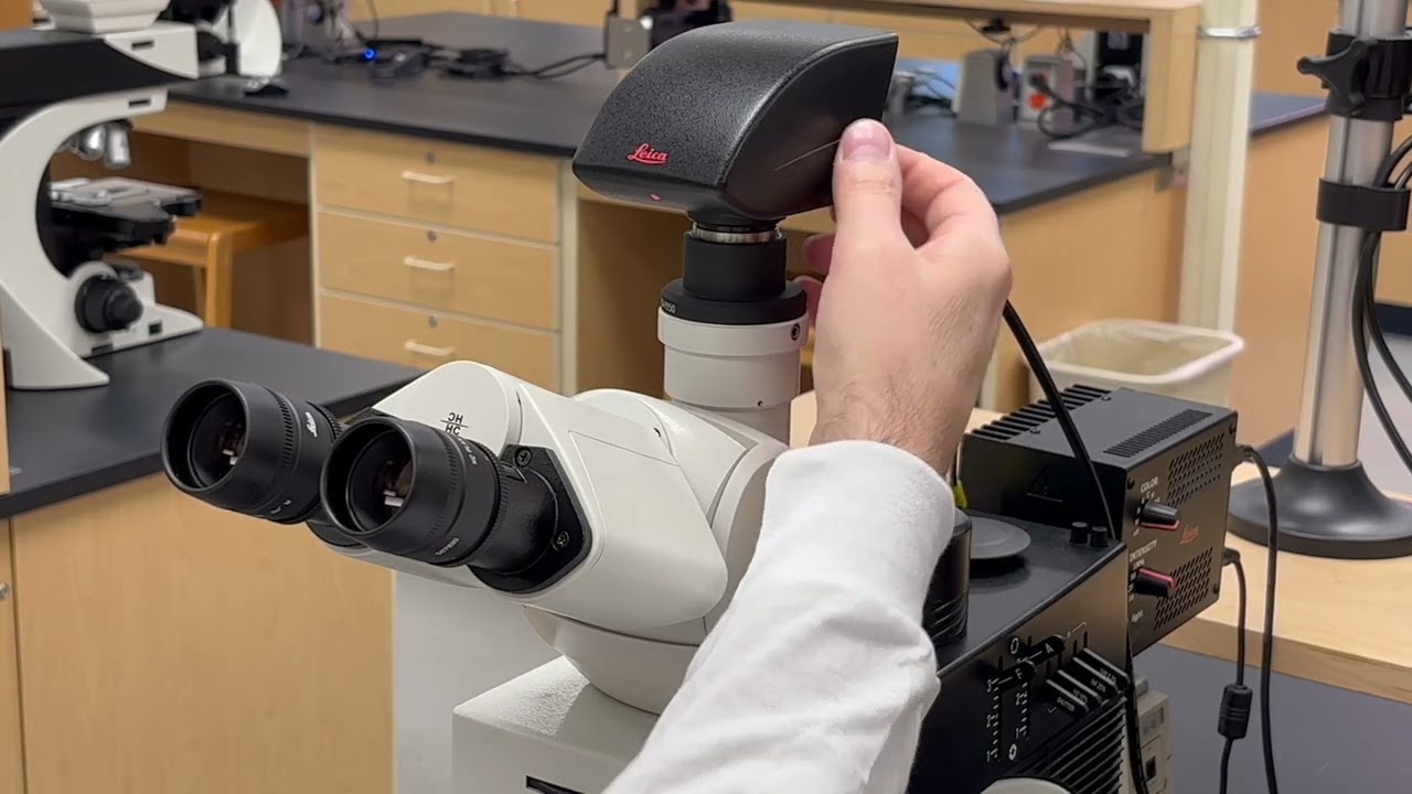 How to Start Up the Leica DM2500 Microscope