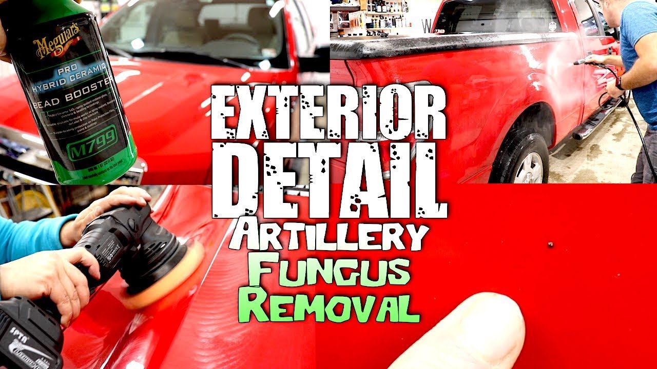 Exterior Detail & Artillery Fungus Removal / #autodetailing #Detailingtips