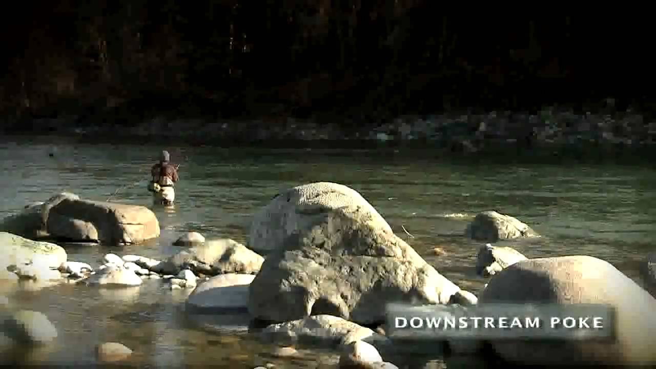 Skagit Master