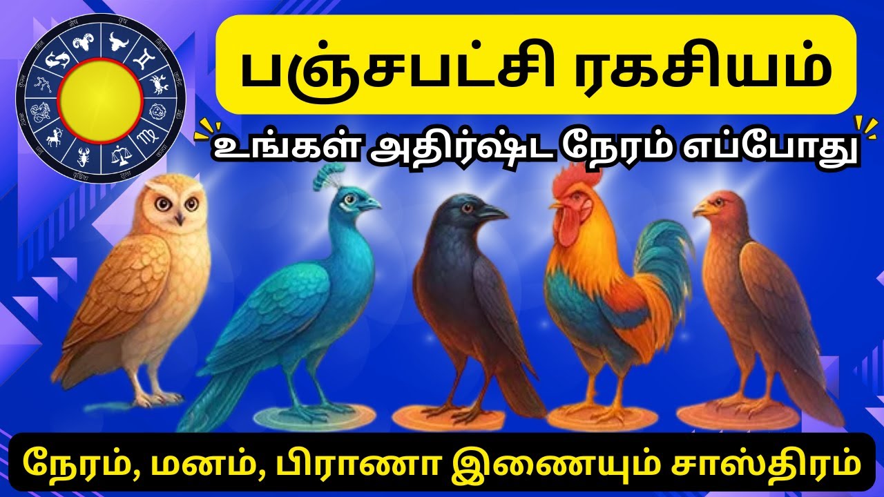 🕊️The SPIRITUAL BIRD Inside You: Know Your Panchapakshi Energy | Yogic Secret: Controls Every Moment