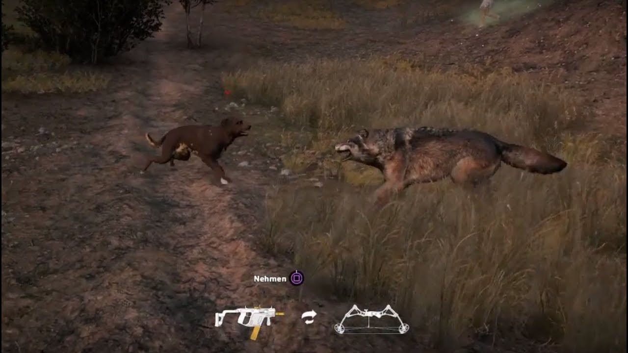 Far Cry 5  Dog Vs. Wolf