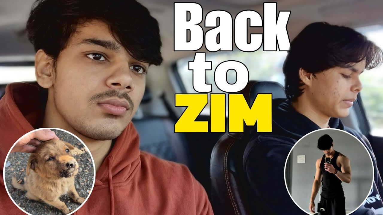 Back to ZIM | Piyush Praveen