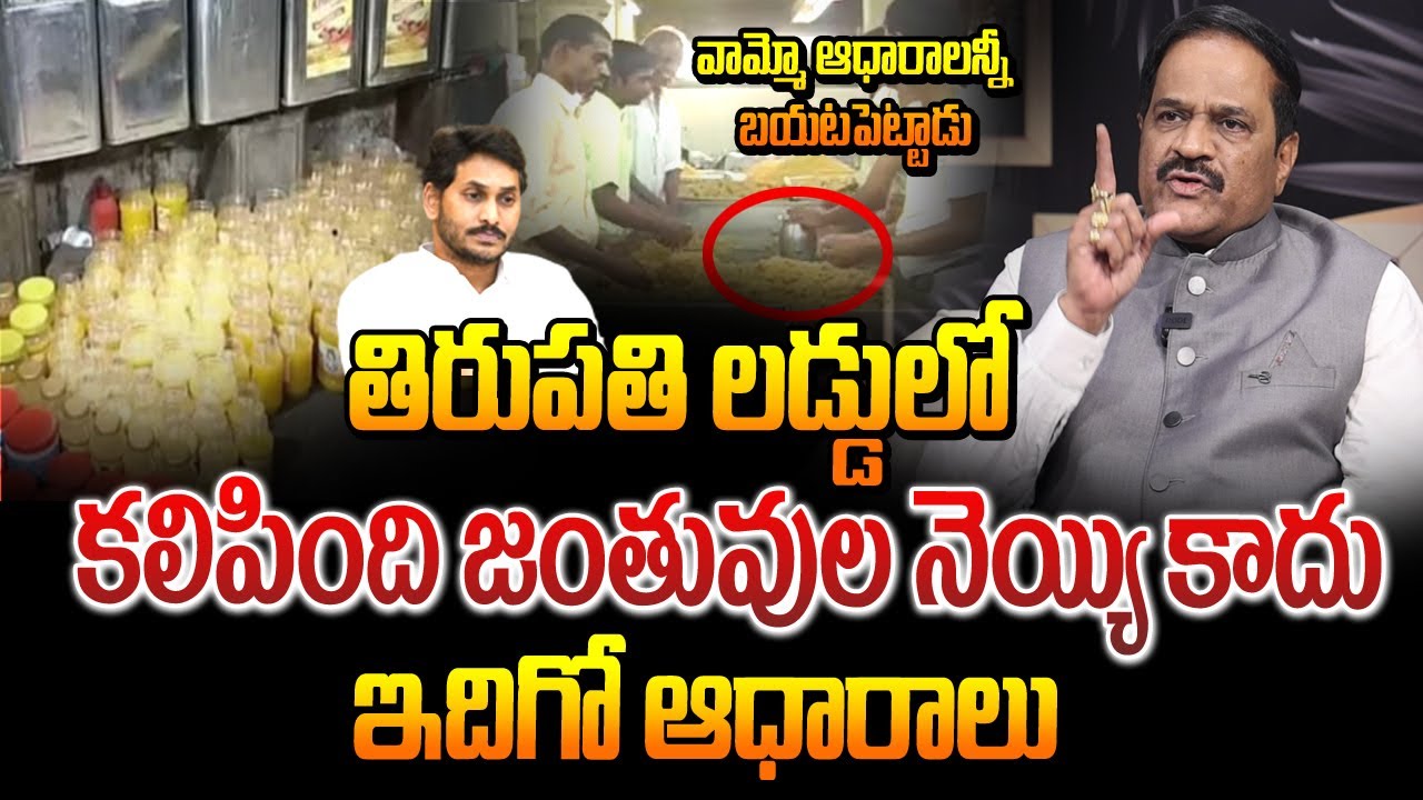 తిరుపతి లడ్డు లో కలిపింది జంతువుల నెయ్యి కాదు | Ravindrababu About Tirupati Laddu Issue Facts