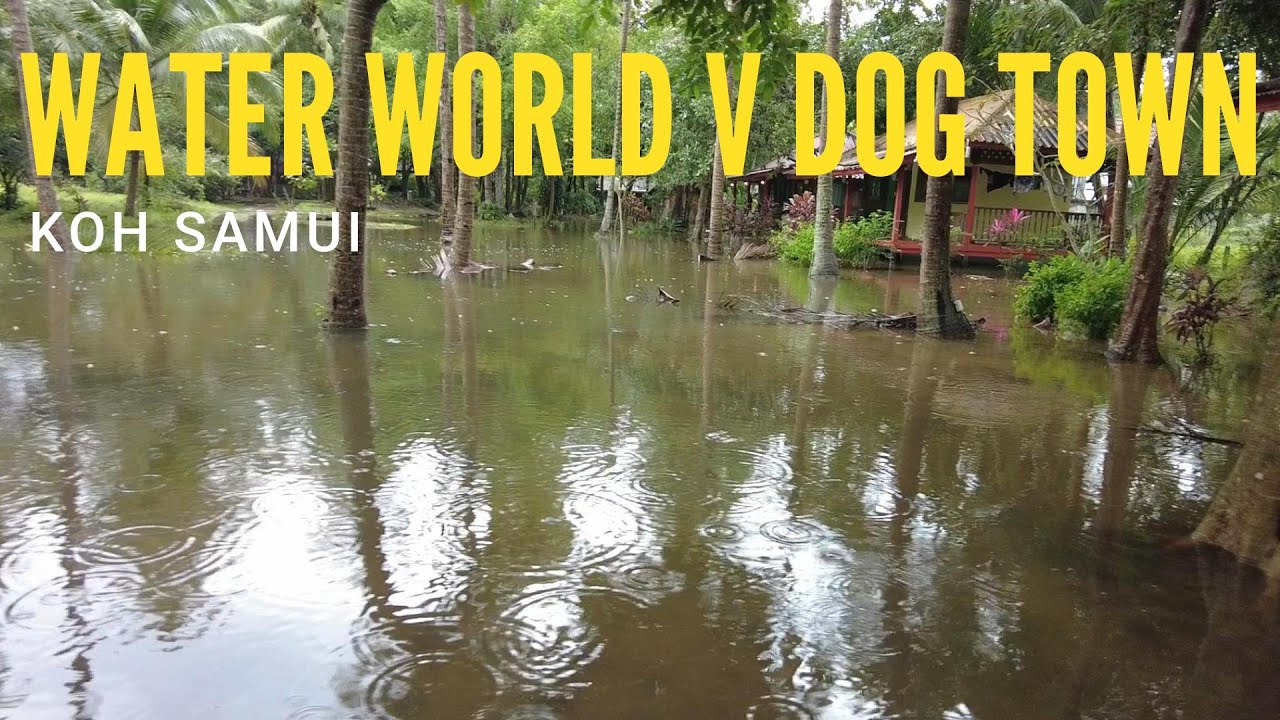 BTN 61 - Water World V Dog Town