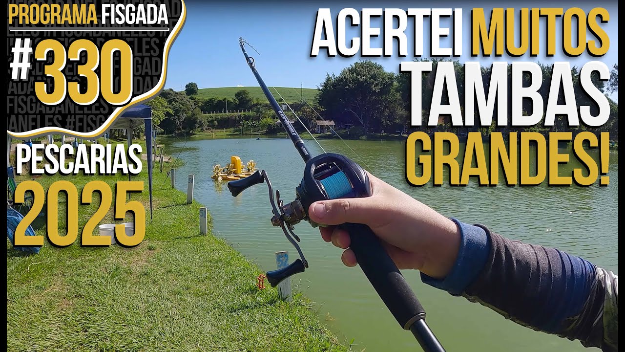 ACERTEI MUITOS TAMBAS GRANDES!!! (PESCARIAS 2025)