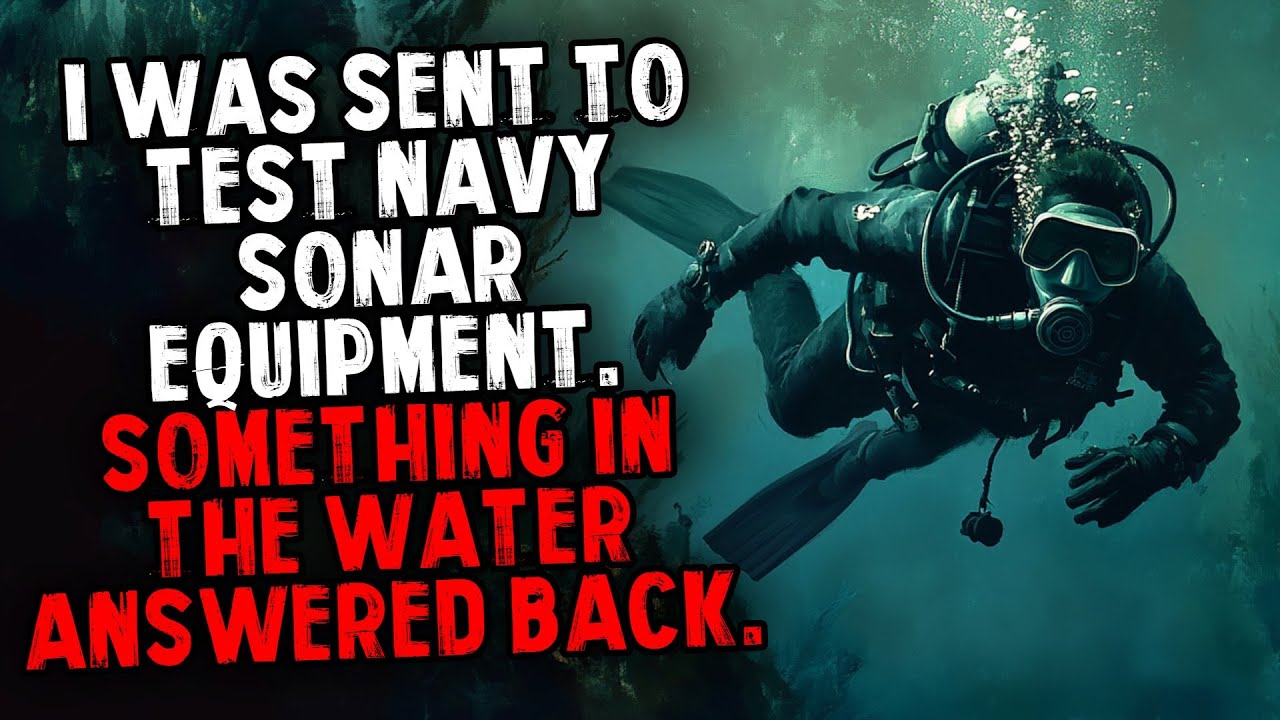 I Was Sent to Test Navy Sonar Equipment. Something in the Water Answered Back.