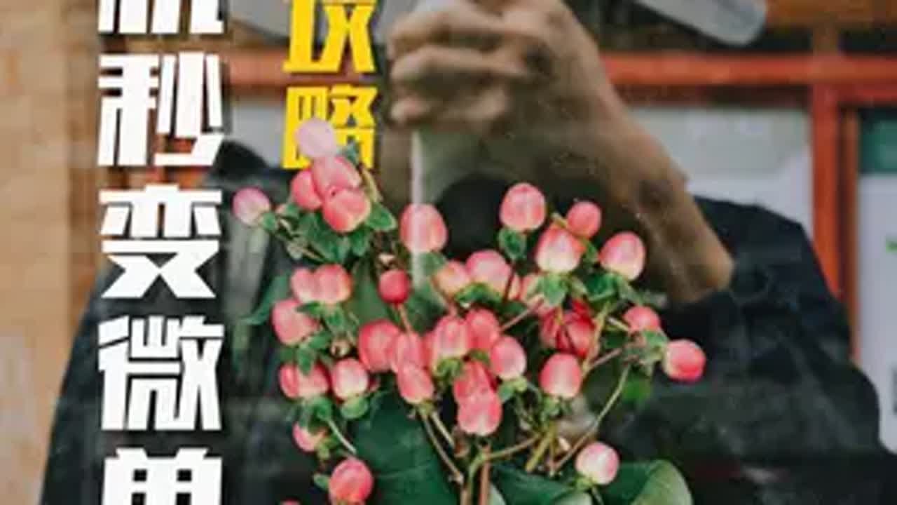 你的第一部微单，又何必是相机？ Varlens 手机摄影 摄影入门 摄影 滤镜