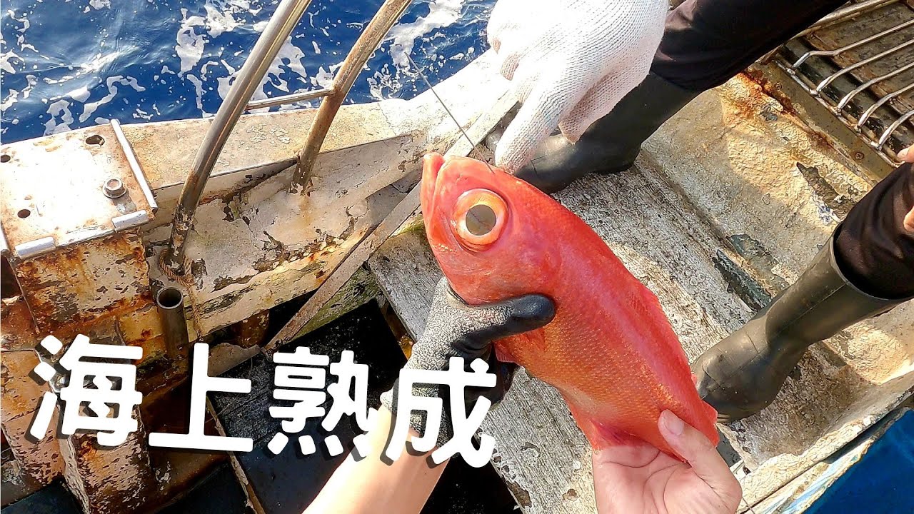 【從海洋到餐桌EP.3】最頂級的處理法! 金目鯛在船上做神經絞放血，熟成6日生魚片。