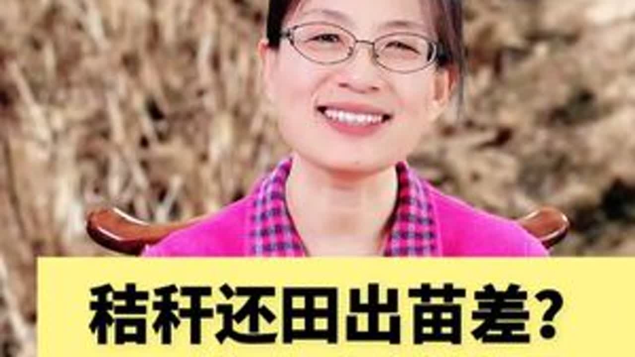 秸秆还田出苗差？90%的人方法错了！ #秸秆还田 #有机物料腐熟剂 #分享农业知识帮农民增产增收#支持三农扶持三农发展#毛姐讲土壤