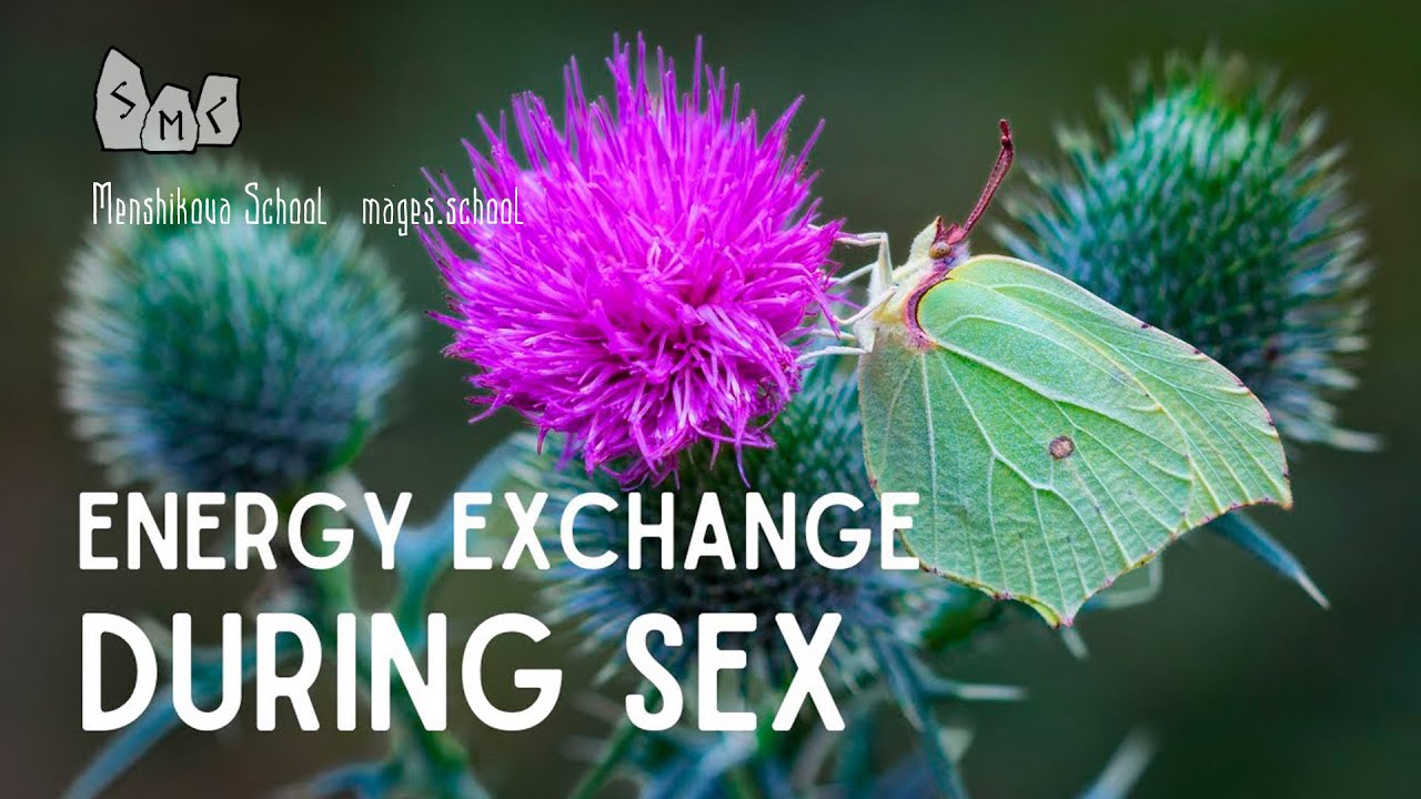What Type Of Energy Exchange Happens During Sex?