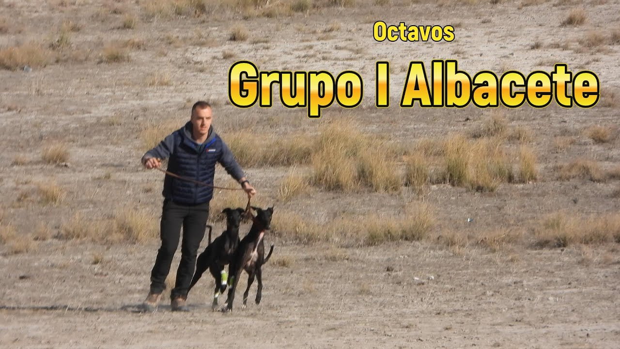 Fase de Octavos del Grupo I Albacete, 29 Noviembre 2025