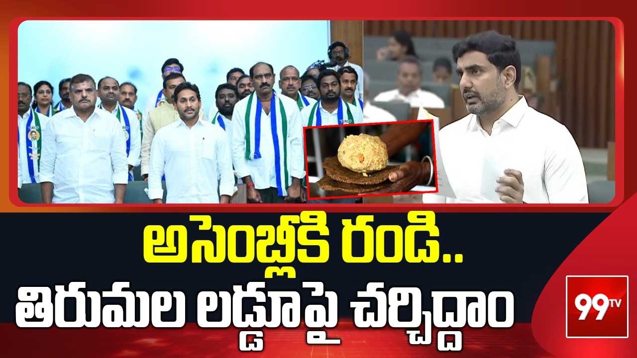 అసెంబ్లీ కి రండి.. తిరుమల లడ్డూపై చర్చిద్దాం.. | Nara Lokesh Open Challenge To YCP | Tirumala Laddu