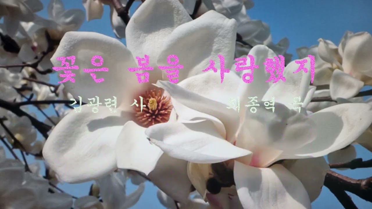 꽃은 봄을 사랑했지