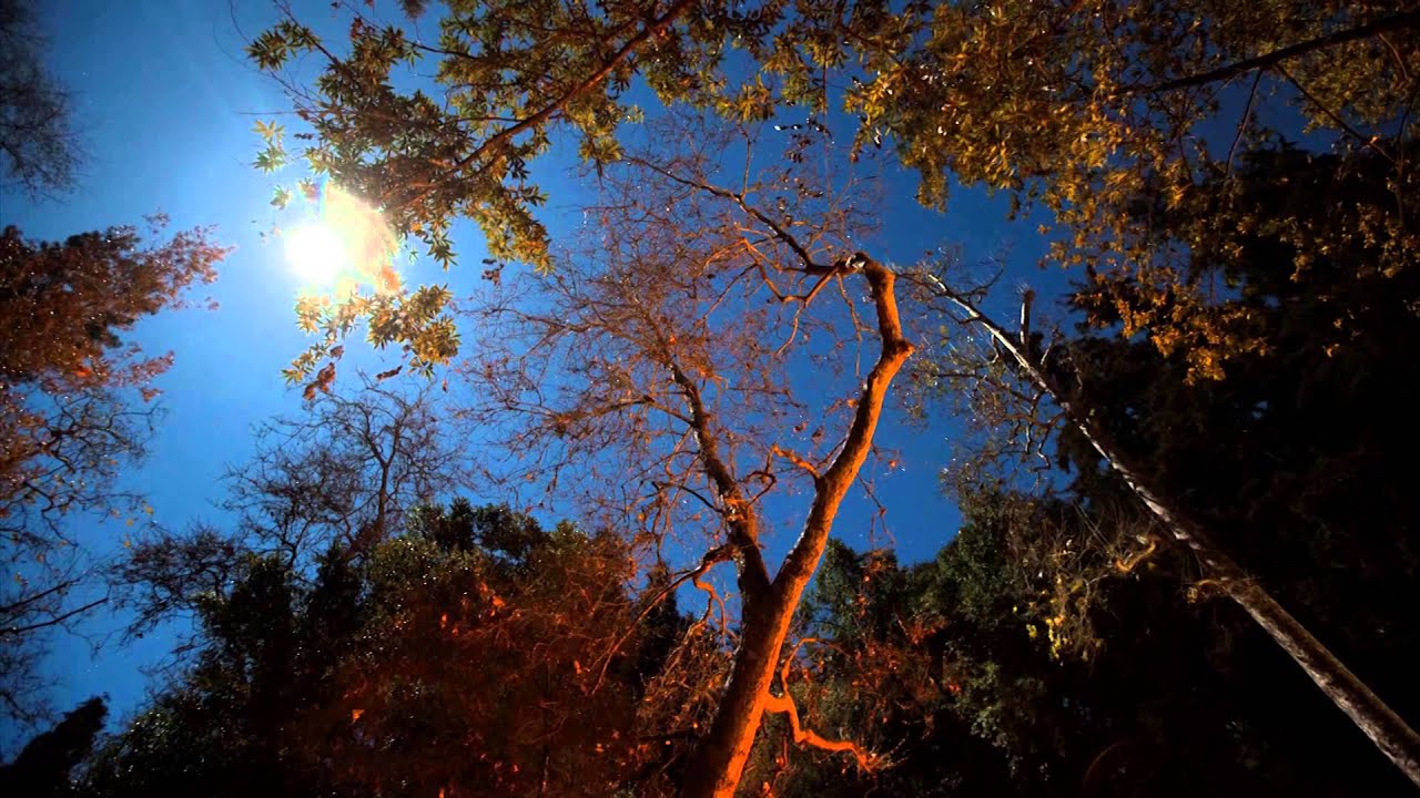 Yosemite moon timelapse HD (Omnislider and Canon 5D)