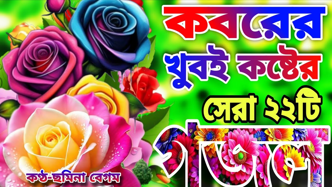 খুবই দুঃখের কবরের শেষ বিদায়ের কষ্টের সেরা মায়াবী কন্ঠে মনজুড়ানো ২২টি গজল।কেমন করে থাকবো একা কবরের