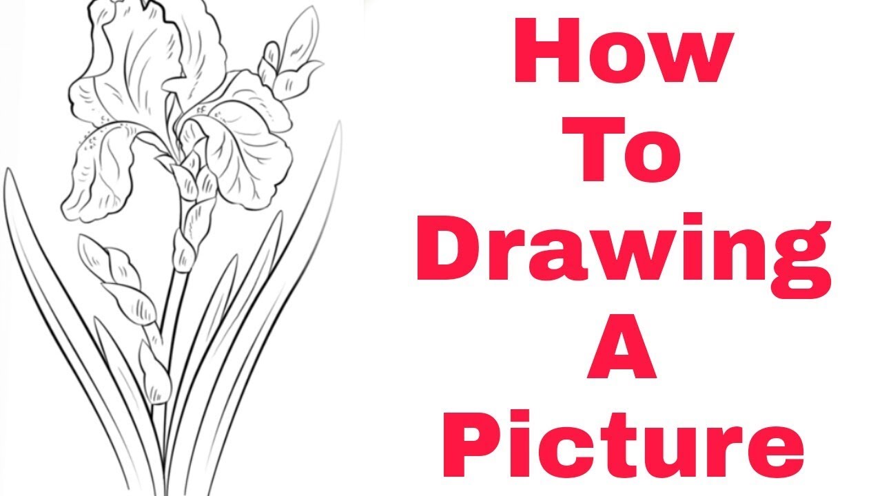 How to draw tom mcpherson step by step/sketch ltd