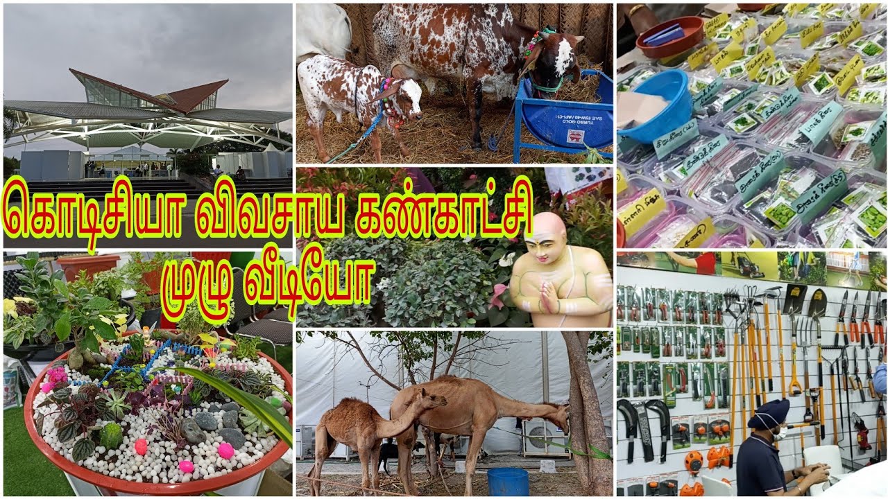 Codissia Agri INTEX 2022 Full video  part-1/கொடிசியா விவசாய கண்காட்சி முழுதும் காணலாம் வாங்க