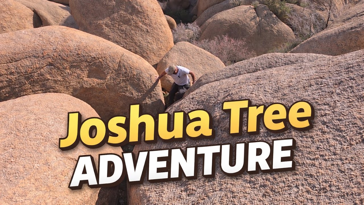 Exploring Joshua Tree:Stunning Hikes & ScenicViews