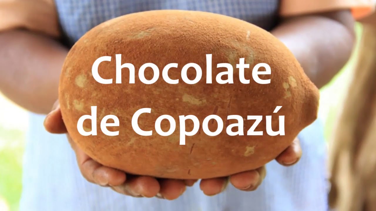 Chocolates de copoazu
