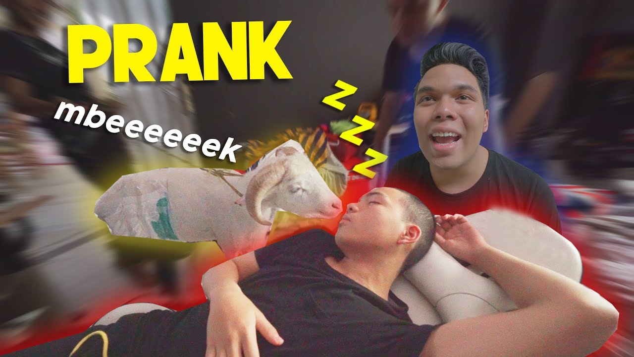 PRANK Bangunin Adik2 Pakai KAMBING