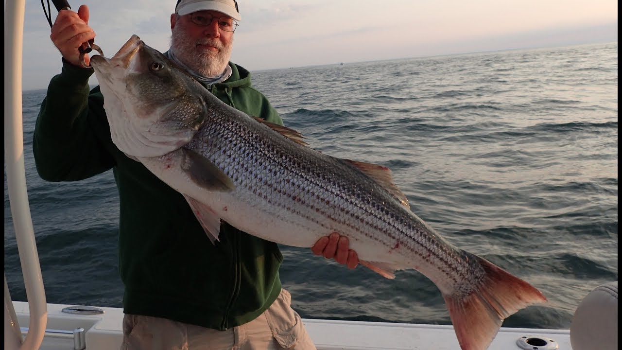 Big Striped Bass Fishing with Underwater View!