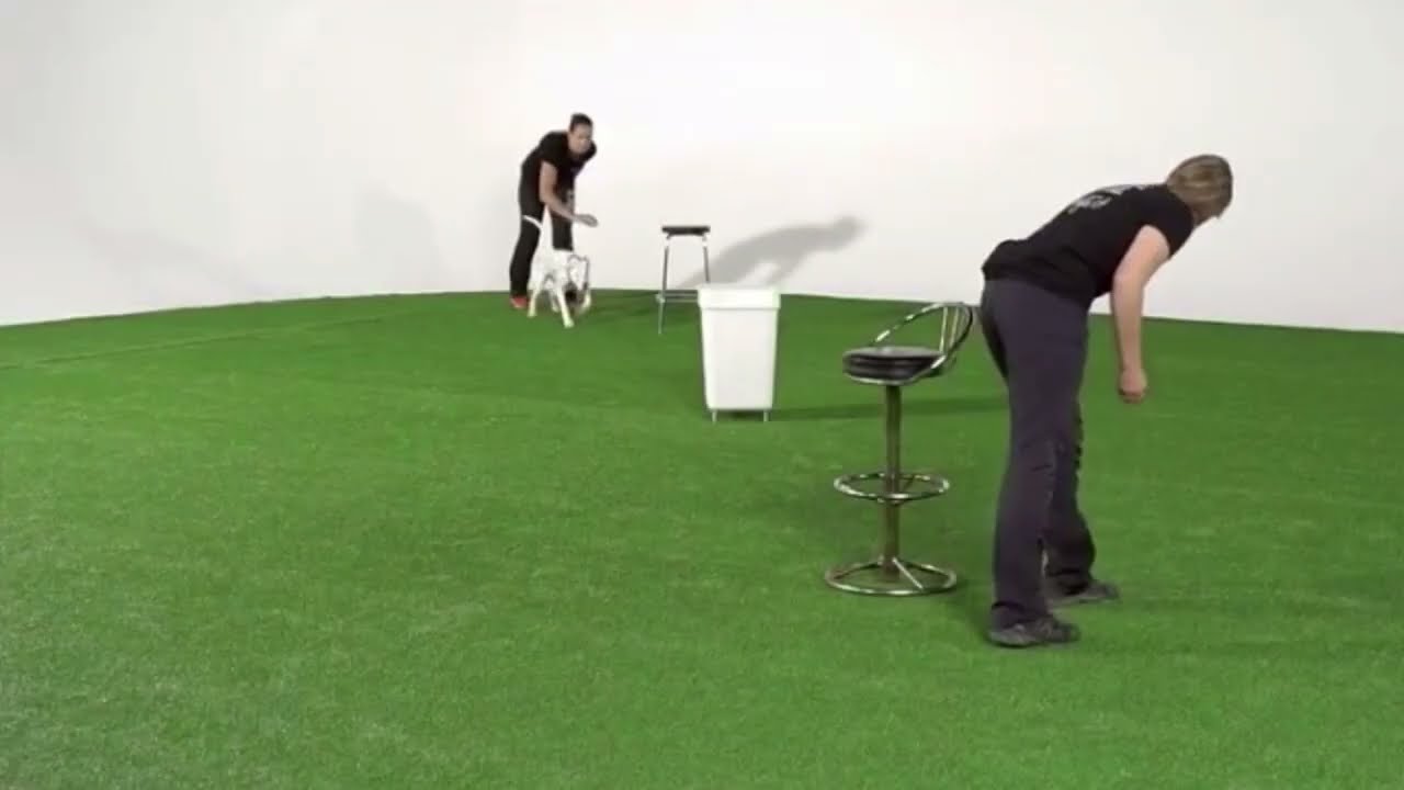 OneMind Dogs Foundation For Agility - Get inspired with FUN training ideas for your dog!