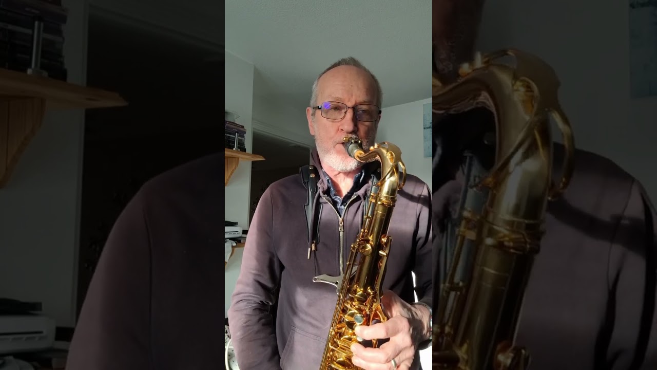 Goodbye Yellow Brick Road- sax cover