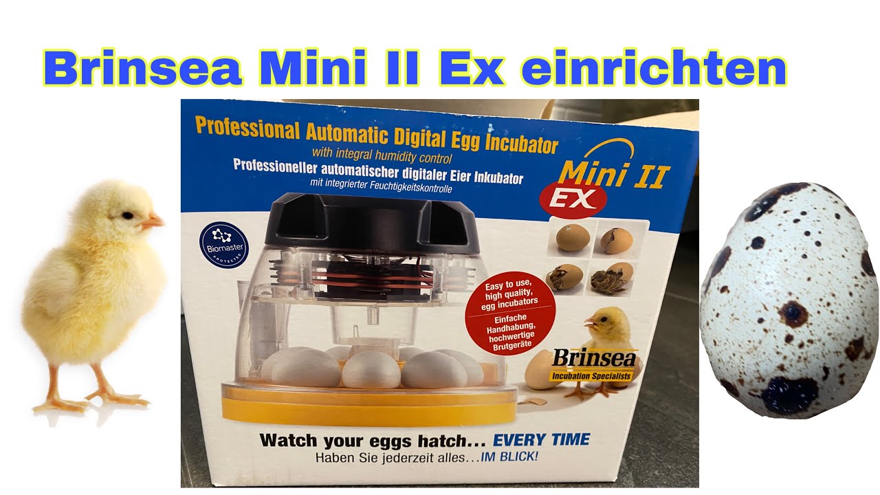 Brinsea Mini II Ex einrichten