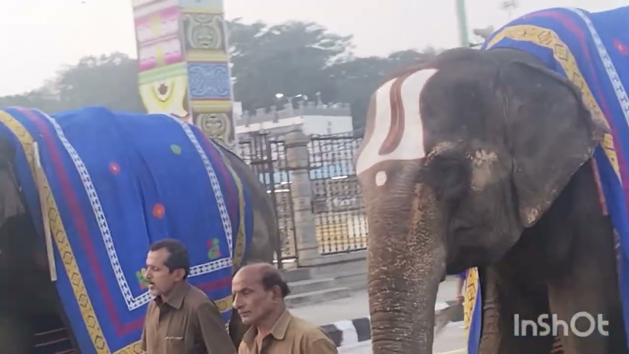 తిరుమల శ్రీవారు తిరుమాడ వీధులలో ఊరేగింపు