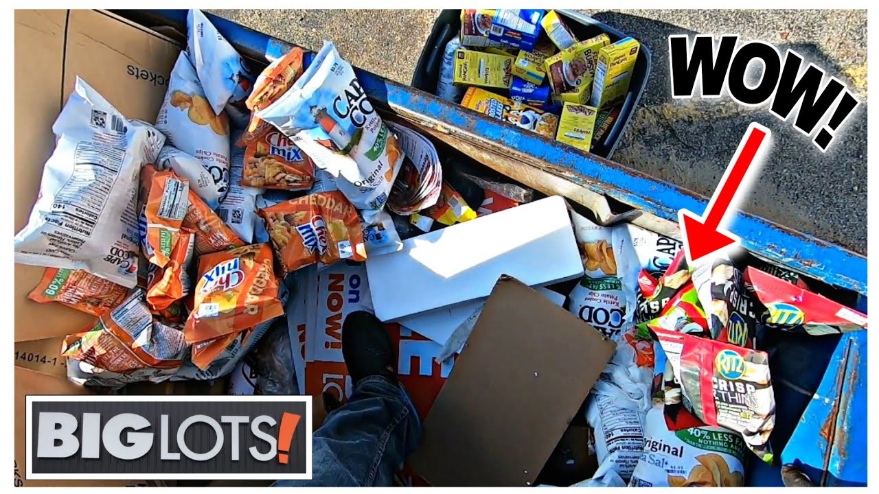 **DUMPSTER DIVING - BIG LOTS/OLLIE'S SCORE & HITTING THE COLLEGE DUMPSTER!**