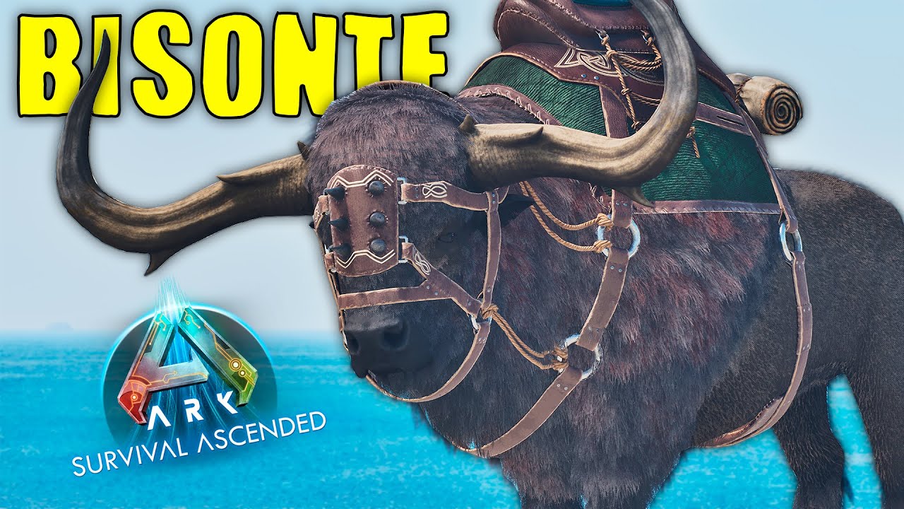 COMO TAMEAR BISONTE y TODAS SUS HABILIDADES (PC, PS, Y XBOX) - ARK Survival Ascended