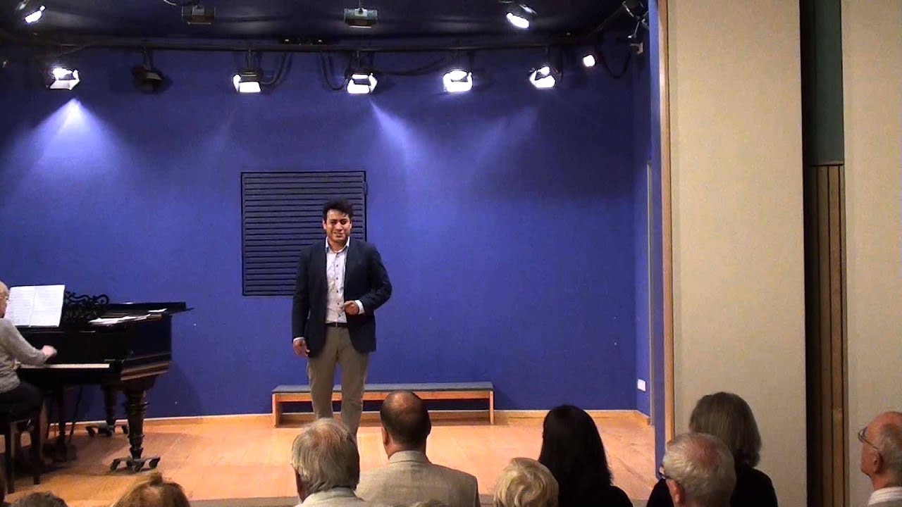 Non più andrai, Gustavo Castillo Estrada