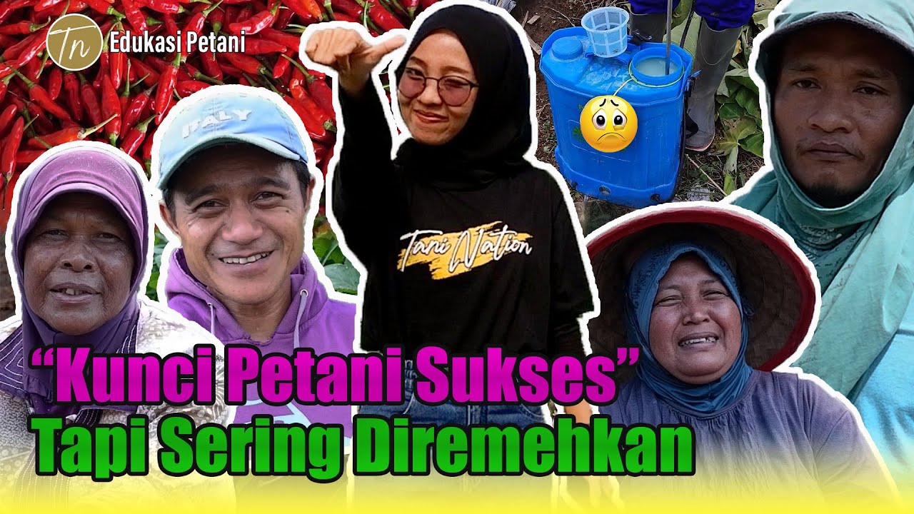 RAHASIA SUKSES PETANI TERAPKAN PANCA USAHA TANI SEBAGAI KUNCI UTAMA