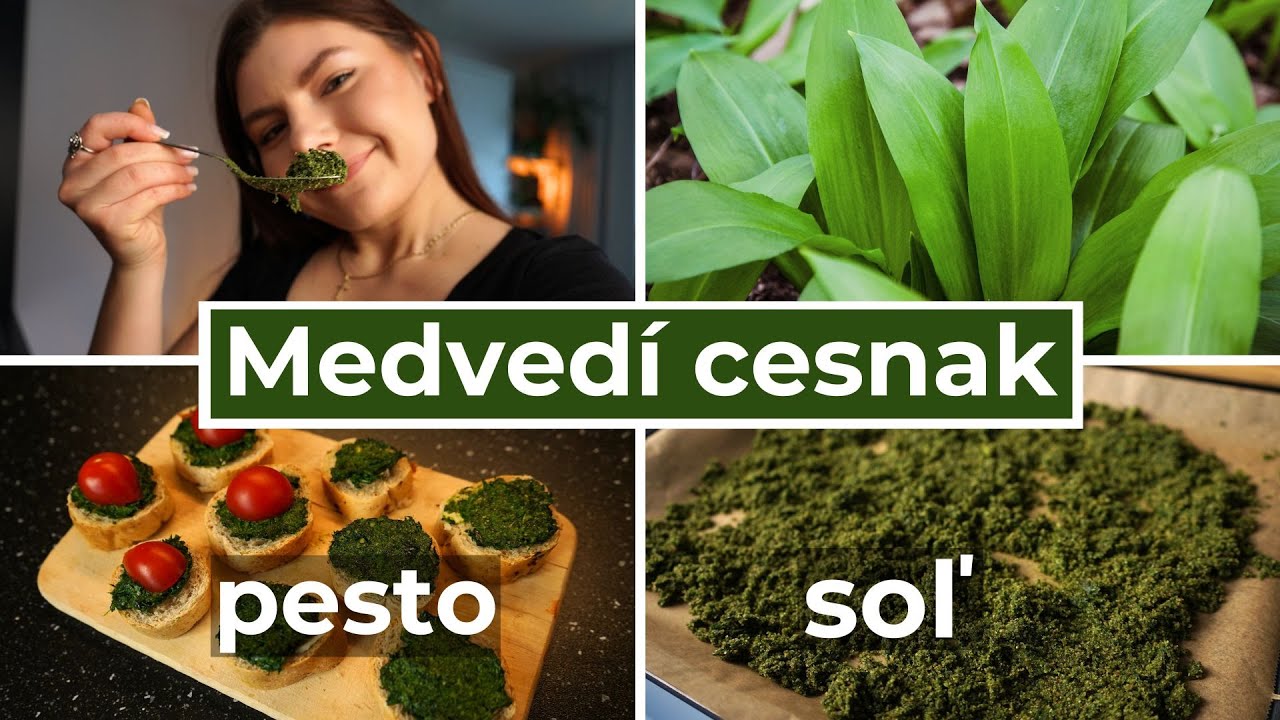 Cesnaková soľ & pesto z medvedieho cesnaku | Zdravé recepty