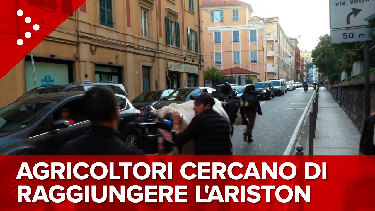 LIVE Sanremo, gli agricoltori cercano di raggiungere il teatro Ariston con la mucca: diretta video