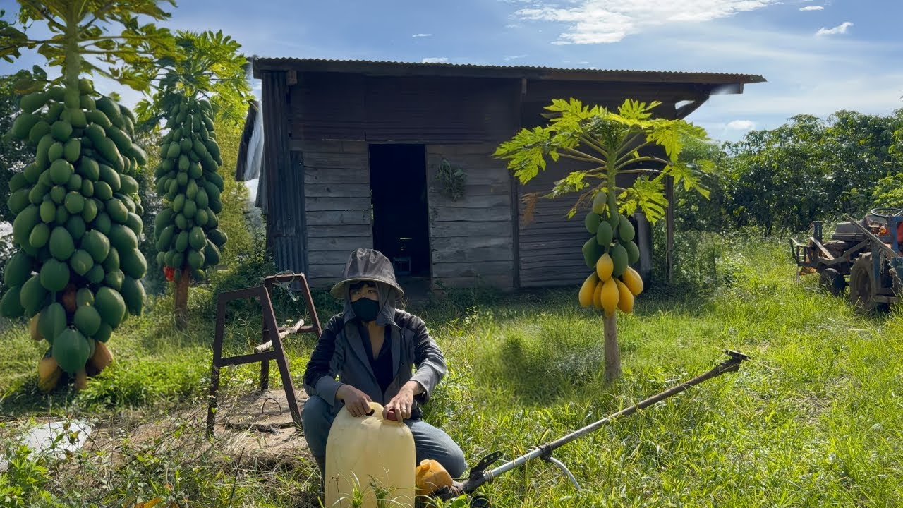 Transforming an Abandoned House Overgrown with Grass | Free Clean-Up to Help a Beautiful Girl