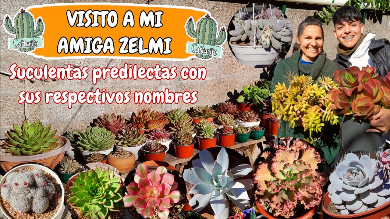 Ella tiene una colección maravillosa + NOMBRES / Sus favoritas / Jardín en Uruguay 🇺🇾 | Cattu!