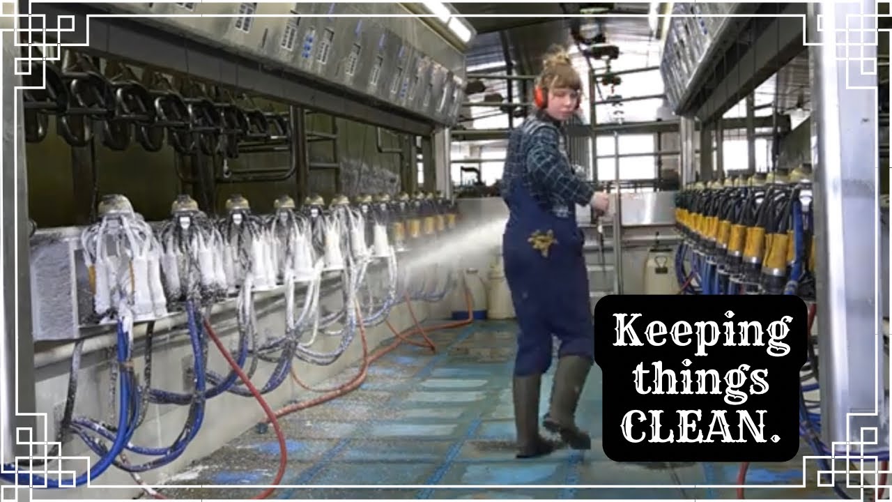 Cool Foam Cleaning! 🧼🫧