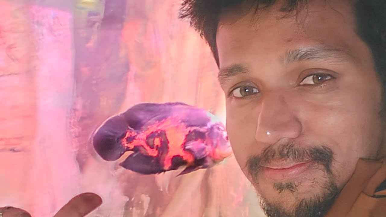 MAHABALESHWAR 😍 | Hollywood Wax Museum & Maharashtra’s Largest Aquarium 🤯 | Must Visit Place