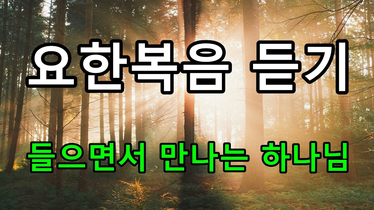 요한복음 듣기 / 들으면서 만나는 하나님 #개역개정 #잠잘때듣는말씀 #성령충만 #성경낭독 #성경듣기 #잠잘때듣는성경
