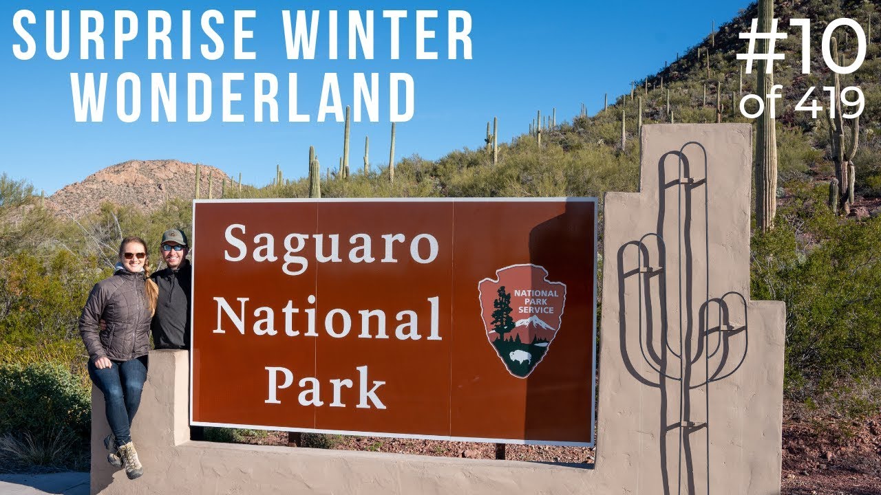 Moonlight Hike and a Surprise Snow Day in Saguaro National Park West, Tucson, Arizona (#10/419)