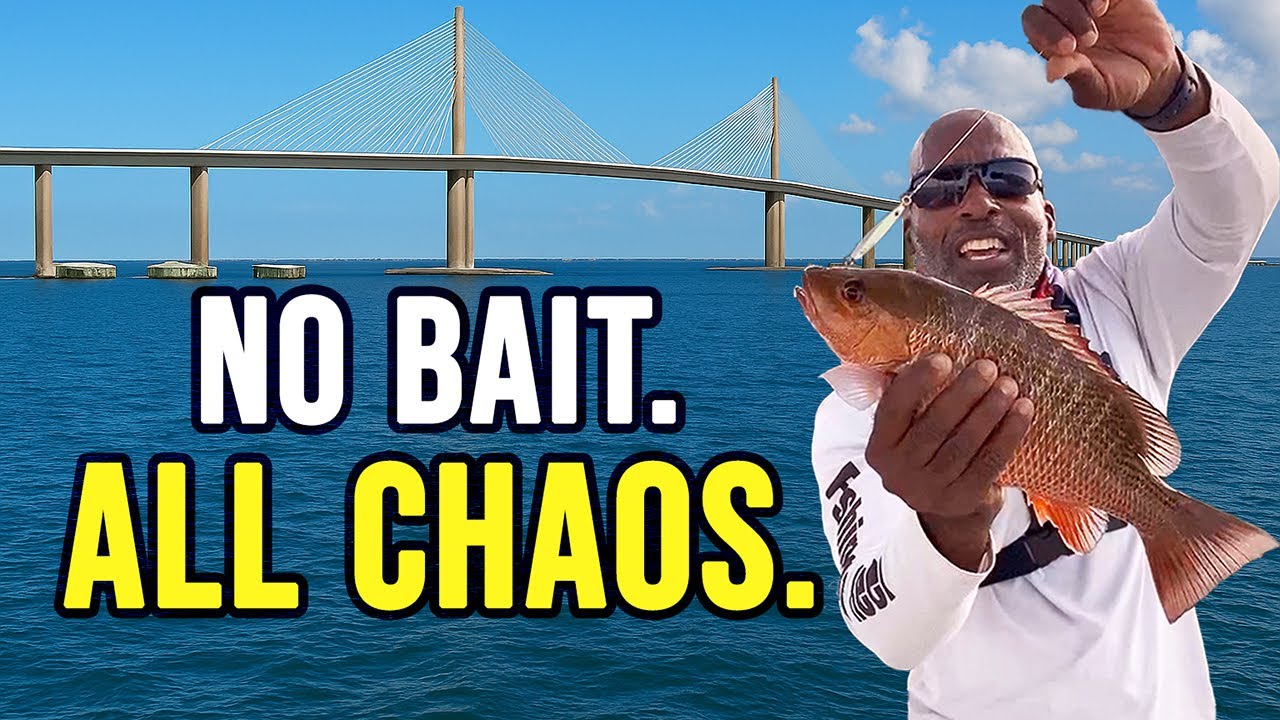 Skyway Bridge Snapper Went Off - No Bait Used