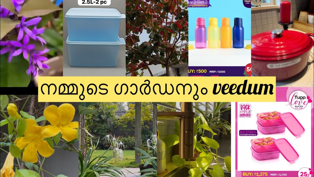 #Gardan Maintenance # home #dailyvlog #kitchen #