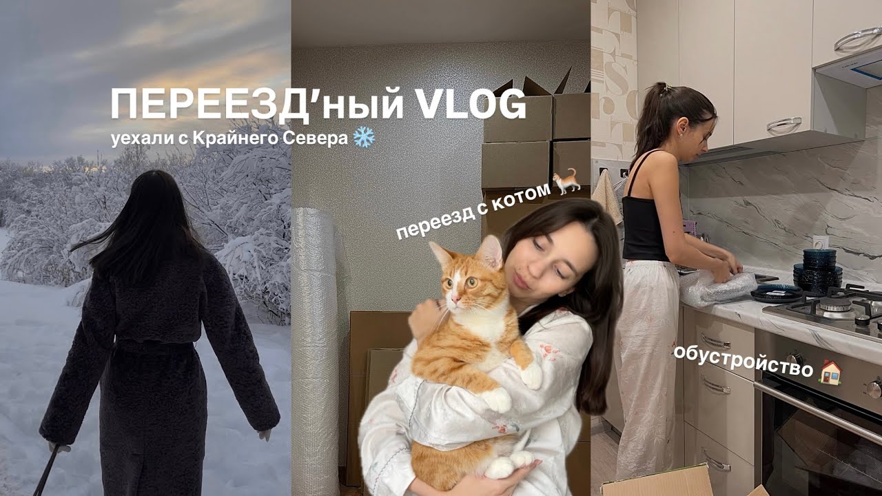 vlog 📦 МЫ ПЕРЕЕХАЛИ с Крайнего севера | переезд с котом | обустройство новой квартиры
