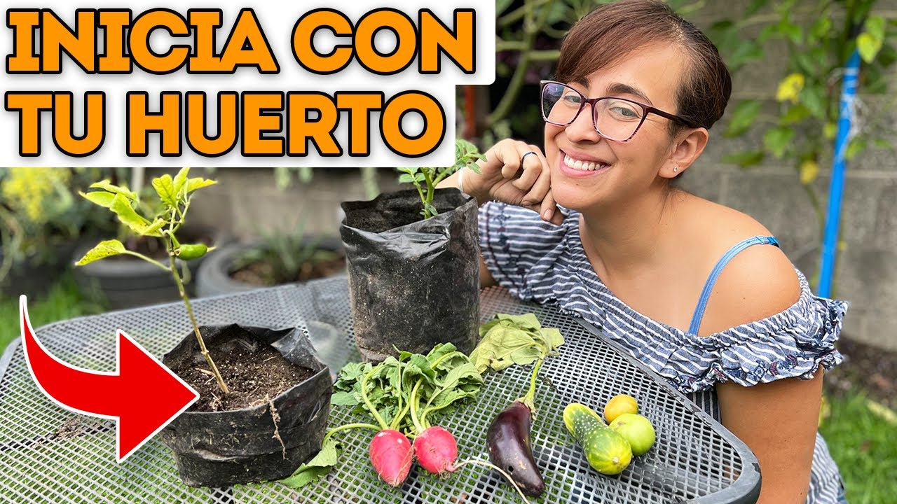 🪴 ¿CÓMO EMPEZAR UN HUERTO EN CASA? 9 TIPS 🍅 (Nivel Principiante) 🍋