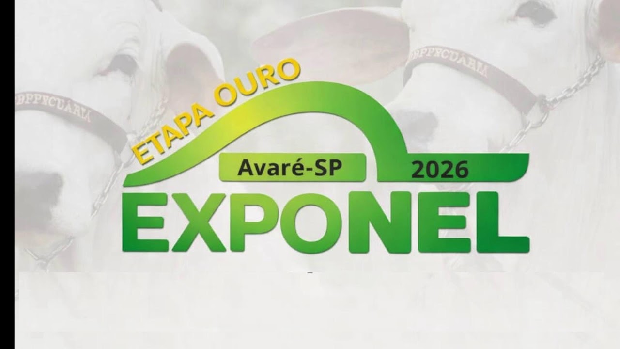 EXPONEL ETAPA OURO AVARÉ 2026 - 12/03/2026