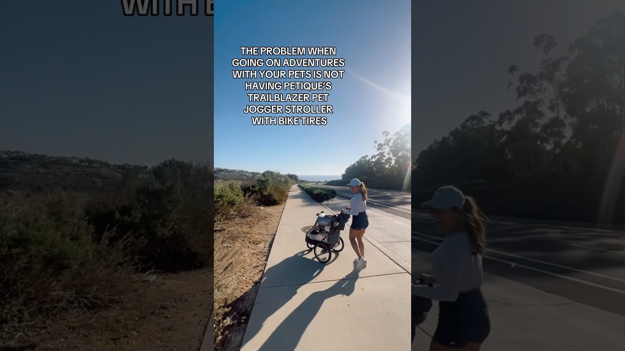 Dog stroller problems 😰 Shop www.petique.com 